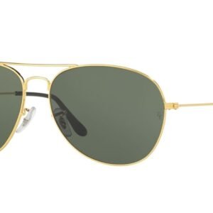 Ray-Ban UV Protected Pilot Sunglass For Men